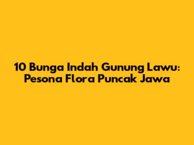 10 Bunga Indah Gunung Lawu: Pesona Flora Puncak Jawa