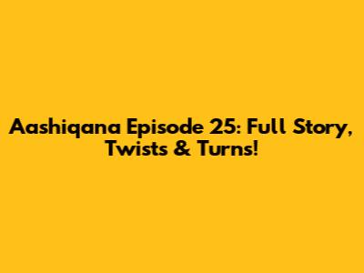 Aashiqana Episode 25: Full Story, Twists & Turns!