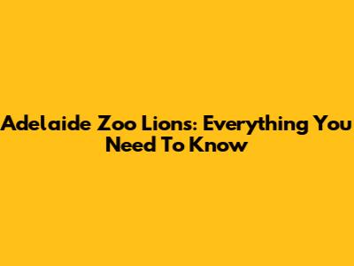 Adelaide Zoo Lions: Everything You Need To Know