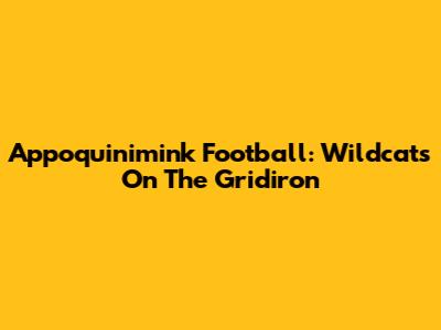 Appoquinimink Football: Wildcats On The Gridiron