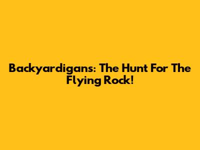 Backyardigans: The Hunt For The Flying Rock!