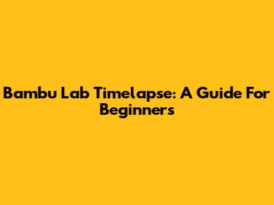 Bambu Lab Timelapse: A Guide For Beginners