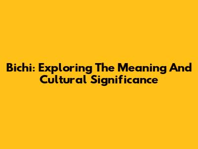 Bichi: Exploring The Meaning And Cultural Significance