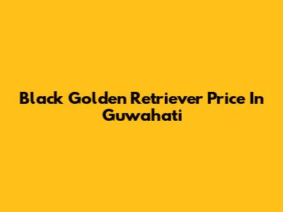 Black Golden Retriever Price In Guwahati