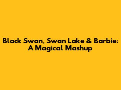 Black Swan, Swan Lake & Barbie: A Magical Mashup