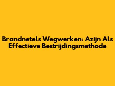 Brandnetels Wegwerken: Azijn Als Effectieve Bestrijdingsmethode