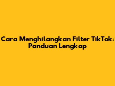 Cara Menghilangkan Filter TikTok: Panduan Lengkap