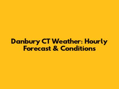 Danbury CT Weather: Hourly Forecast & Conditions