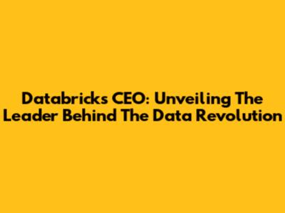 Databricks CEO: Unveiling The Leader Behind The Data Revolution