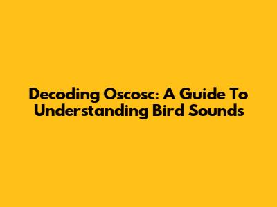 Decoding Oscosc: A Guide To Understanding Bird Sounds