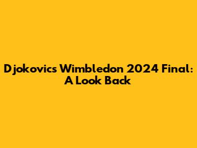 Djokovic's Wimbledon 2024 Final: A Look Back