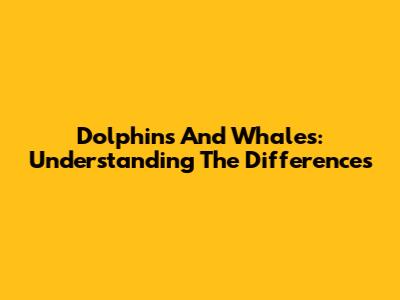 Dolphins And Whales: Understanding The Differences