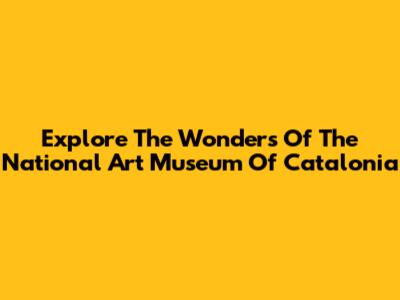Explore The Wonders Of The National Art Museum Of Catalonia