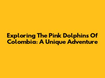 Exploring The Pink Dolphins Of Colombia: A Unique Adventure