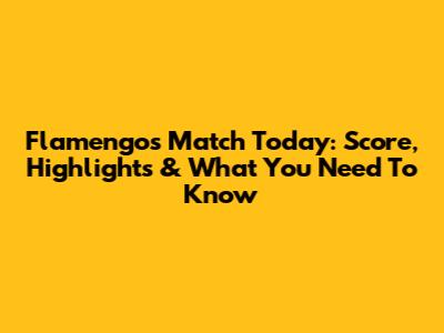 Flamengo's Match Today: Score, Highlights & What You Need To Know