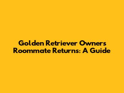 Golden Retriever Owner's Roommate Returns: A Guide