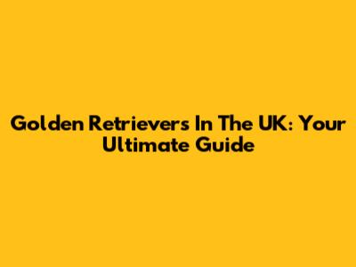 Golden Retrievers In The UK: Your Ultimate Guide