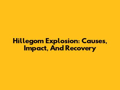 Hillegom Explosion: Causes, Impact, And Recovery