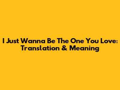 I Just Wanna Be The One You Love: Translation & Meaning