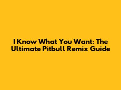 I Know What You Want: The Ultimate Pitbull Remix Guide