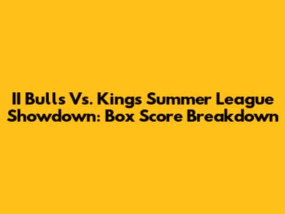 II Bulls Vs. Kings Summer League Showdown: Box Score Breakdown