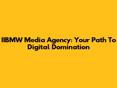 IIBMW Media Agency: Your Path To Digital Domination