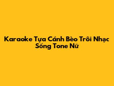Karaoke Tựa Cánh Bèo Trôi Nhạc Sống Tone Nữ