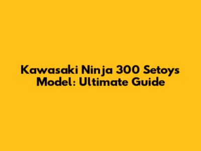 Kawasaki Ninja 300 Setoys Model: Ultimate Guide