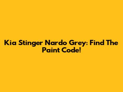 Kia Stinger Nardo Grey: Find The Paint Code!