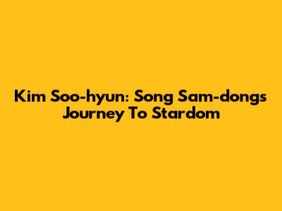 Kim Soo-hyun: Song Sam-dong's Journey To Stardom