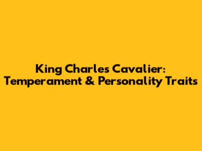 King Charles Cavalier: Temperament & Personality Traits