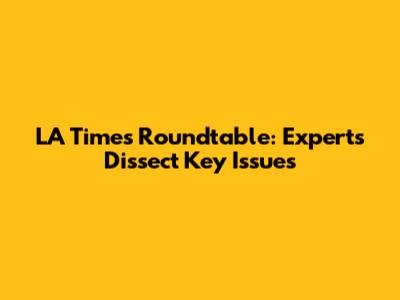 LA Times Roundtable: Experts Dissect Key Issues