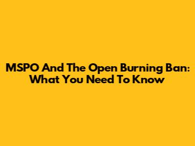 MSPO And The Open Burning Ban: What You Need To Know