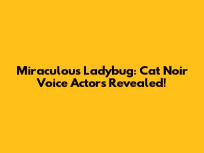 Miraculous Ladybug: Cat Noir Voice Actors Revealed!