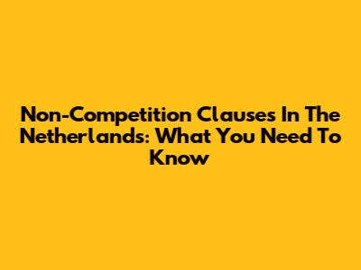 Non-Competition Clauses In The Netherlands: What You Need To Know