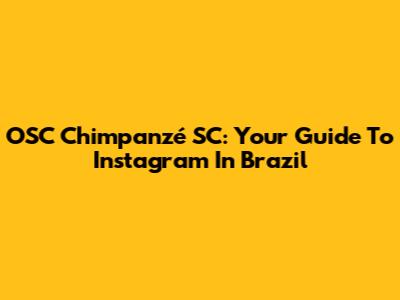 OSC Chimpanzé SC: Your Guide To Instagram In Brazil