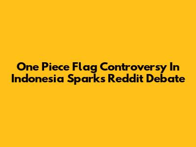 One Piece Flag Controversy In Indonesia Sparks Reddit Debate