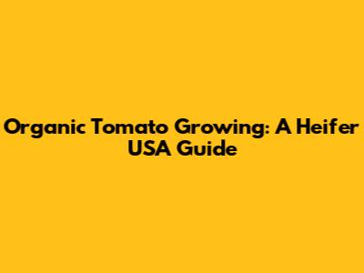 Organic Tomato Growing: A Heifer USA Guide