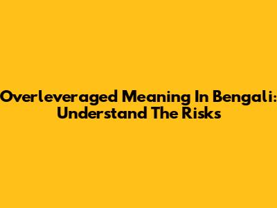 Overleveraged Meaning In Bengali: Understand The Risks