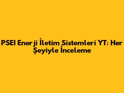 PSEI Enerji İletim Sistemleri YT: Her Şeyiyle İnceleme