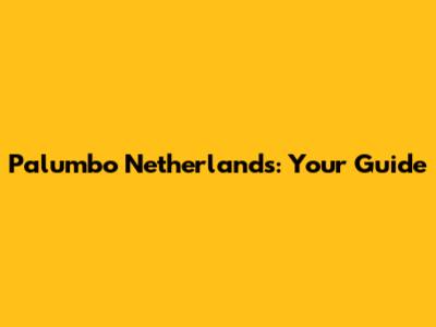 Palumbo Netherlands: Your Guide