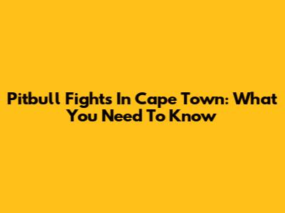 Pitbull Fights In Cape Town: What You Need To Know