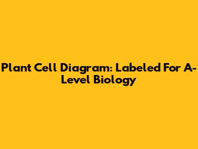 Plant Cell Diagram: Labeled For A-Level Biology