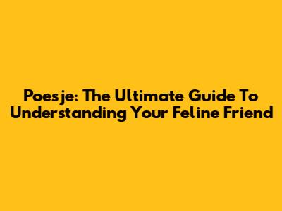 Poesje: The Ultimate Guide To Understanding Your Feline Friend
