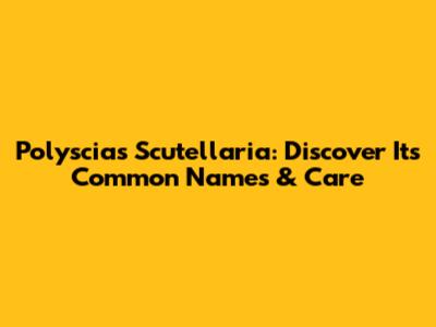 Polyscias Scutellaria: Discover Its Common Names & Care