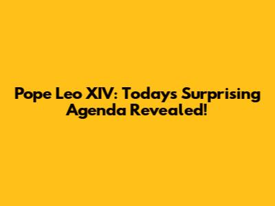 Pope Leo XIV: Today's Surprising Agenda Revealed!