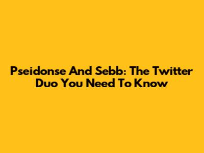 Pseidonse And Sebb: The Twitter Duo You Need To Know