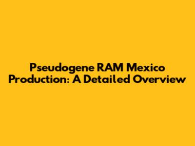 Pseudogene RAM Mexico Production: A Detailed Overview
