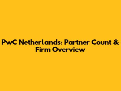 PwC Netherlands: Partner Count & Firm Overview