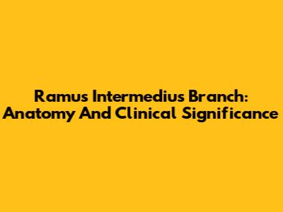 Ramus Intermedius Branch: Anatomy And Clinical Significance